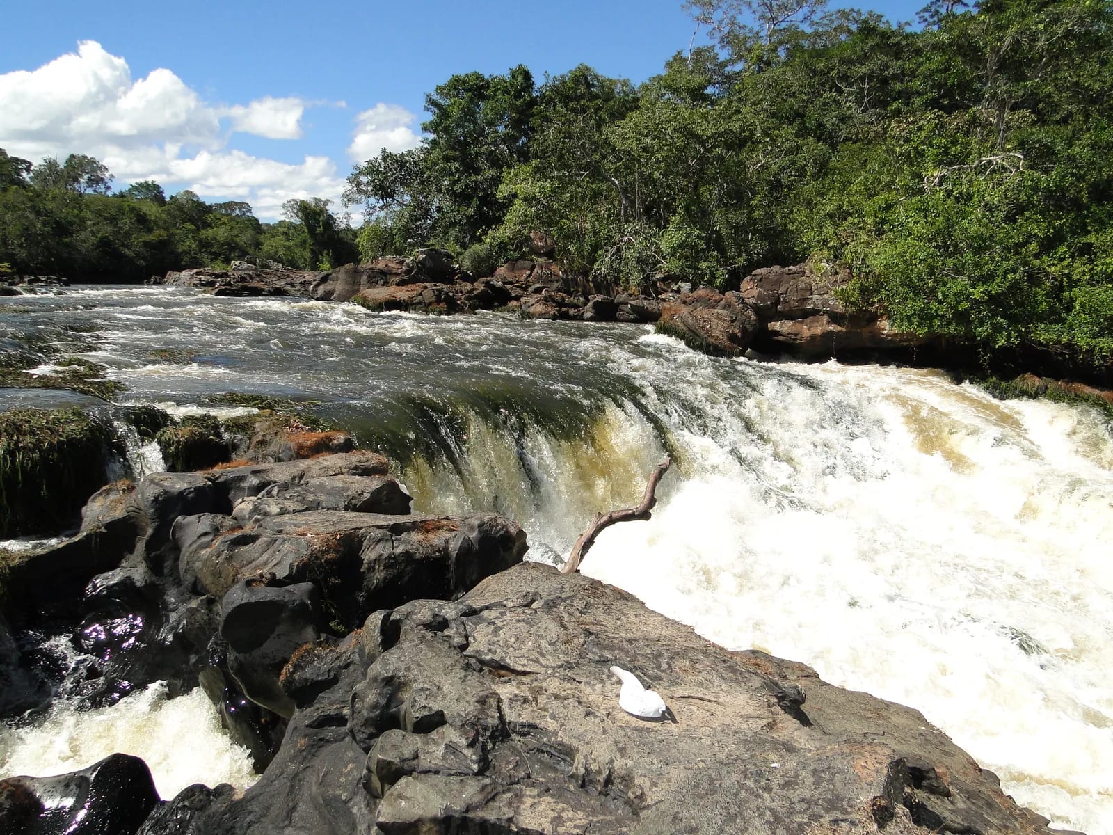 Cachoeira do Rio Cautário — foto 1