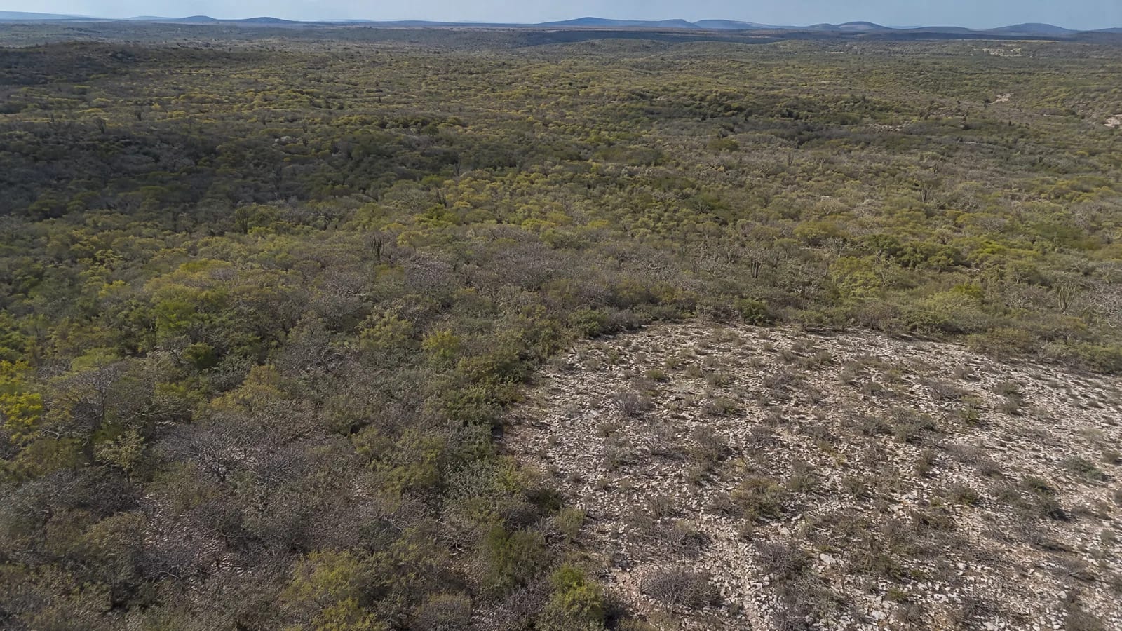Produzir é escolher o que a paisagem terá de suportar.
